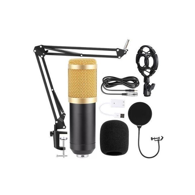 BM 800 Professional Studio Audio