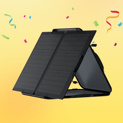 Ecoflow 60W portable Solar Panel