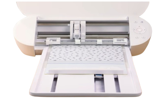 Silhouette Portrait 4